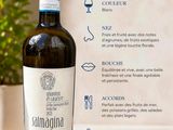 une bouteille de vin posée sur une table à côté d'une plante en pot