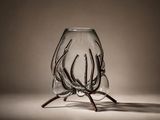 un vase en verre dans lequel se trouve une sorte d'objet