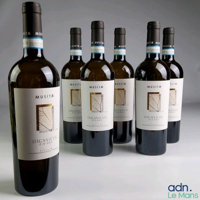 six bouteilles de vin sont alignées sur une table