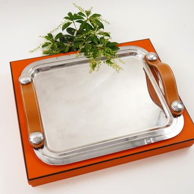 a silver tray with a plant on top of it