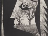 an image of a black and white photo of a woman ' s face with trees in the background