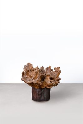 un petit vase contenant un gros morceau de bois