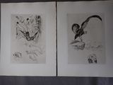 two black and white drawings of birds on a black background