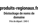 Photo 1/1 du lot