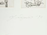 two drawings of birds and a bird on a branch in a tree