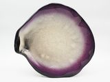 un gros plan d'un objet violet et blanc posé sur une surface blanche