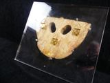 a picture of a picture of a mask in a glass case
