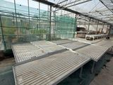 a long table in the middle of a large greenhouse