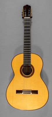 un gros plan d'une guitare sur fond gris