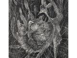 black and white drawing of a bird in a nest in the grass