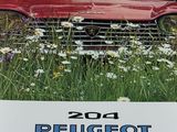 une voiture rouge garée dans l'herbe, avec une femme sur la banquette arrière