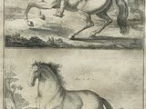 two pictures of a man on a horse and a man on a horse