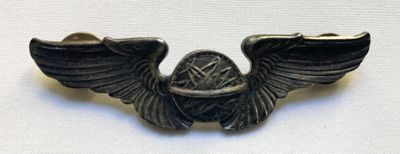 an image of a metal pin with wings on a white surface