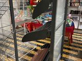 a piano in the middle of a room with many shelves