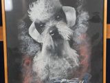 framed photograph of a dog with a white beard and a hat