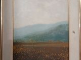 framed painting of a landscape with a mountain in the distance