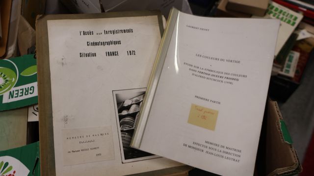 Mémoires de maitrise : 10 tapuscrits. L’activité expressive des p...