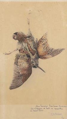 drawing of two birds in flight with a branch in the foreground