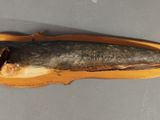 a fish that is laying on a piece of wood
