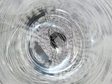 a close up of a glass of water with a bird in it