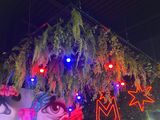 a christmas tree with lights and decorations hanging from it ' s branches