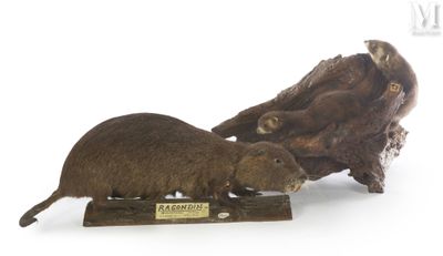 two stuffed animals that are sitting on a wooden stand