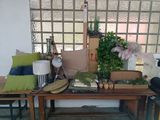 une table sur laquelle sont posées plusieurs plantes