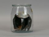 a glass jar with shells inside of it on a table