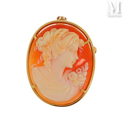 une image représentant le profil d'une femme sur une broche en camée