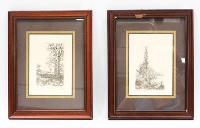 two framed drawings of trees and bushes in a wooden frame