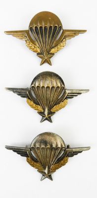 trois insignes militaires ornés d'ailes et d'une étoile sur fond blanc