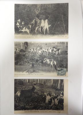 deux photos en noir et blanc représentant des chiens et des personnes dans un environnement boisé