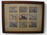 a picture of a picture of horses in a picture frame