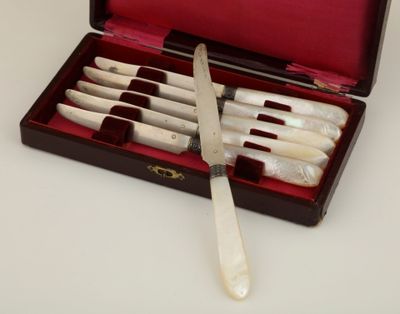 cinq couteaux dans une boîte avec un porte-couteaux