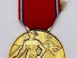 the medal is gold and has a red ribbon around it