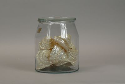 a glass jar filled with small shells in it