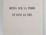 Photo 3/6 du lot