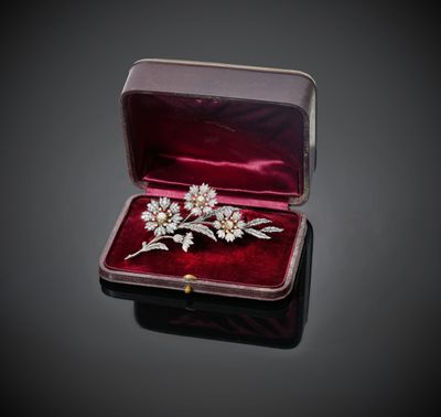 une photo représentant une paire de broches dans un étui en velours