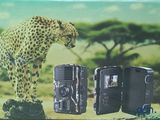 une boîte sur laquelle est représenté un guépard