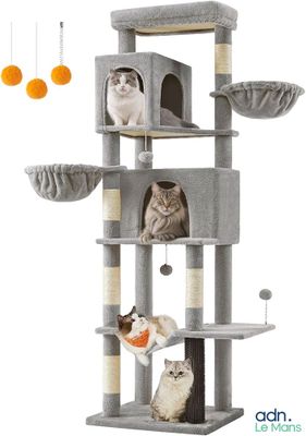de nombreux chats perchés sur l'arbre à chat