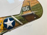 une peinture représentant un avion avec une étoile sur le flanc