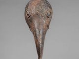 a close up of a bird ' s head on a metal stand