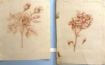 deux dessins de fleurs sur une feuille de papier posée sur une surface bleue