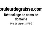 Photo 1/1 du lot