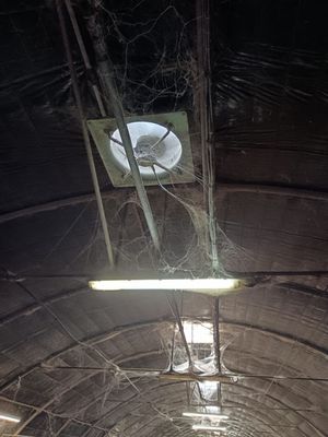 a light that is hanging from the ceiling of a building