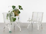 two white chairs with a plant in the middle of them