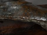 a close up of a bronze statue of a dog