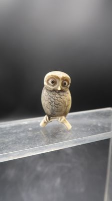 une figurine de chouette posée sur une étagère transparente