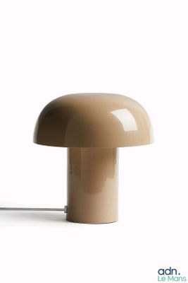 an image of a mushroom lamp on a white background