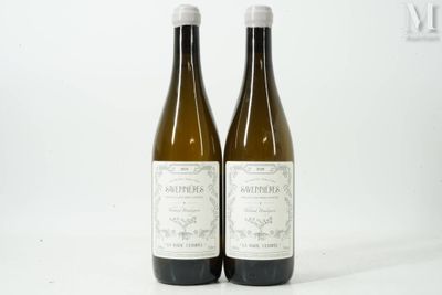 deux bouteilles de vin blanc posées l'une à côté de l'autre sur une surface blanche